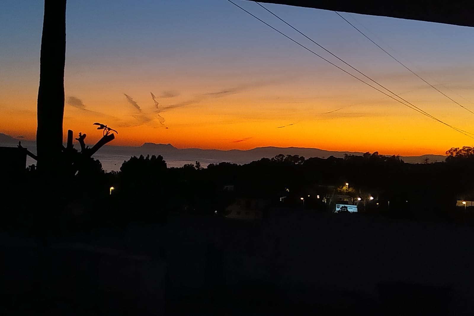 WhatsApp Image 2023-05-13 at 14.58.46