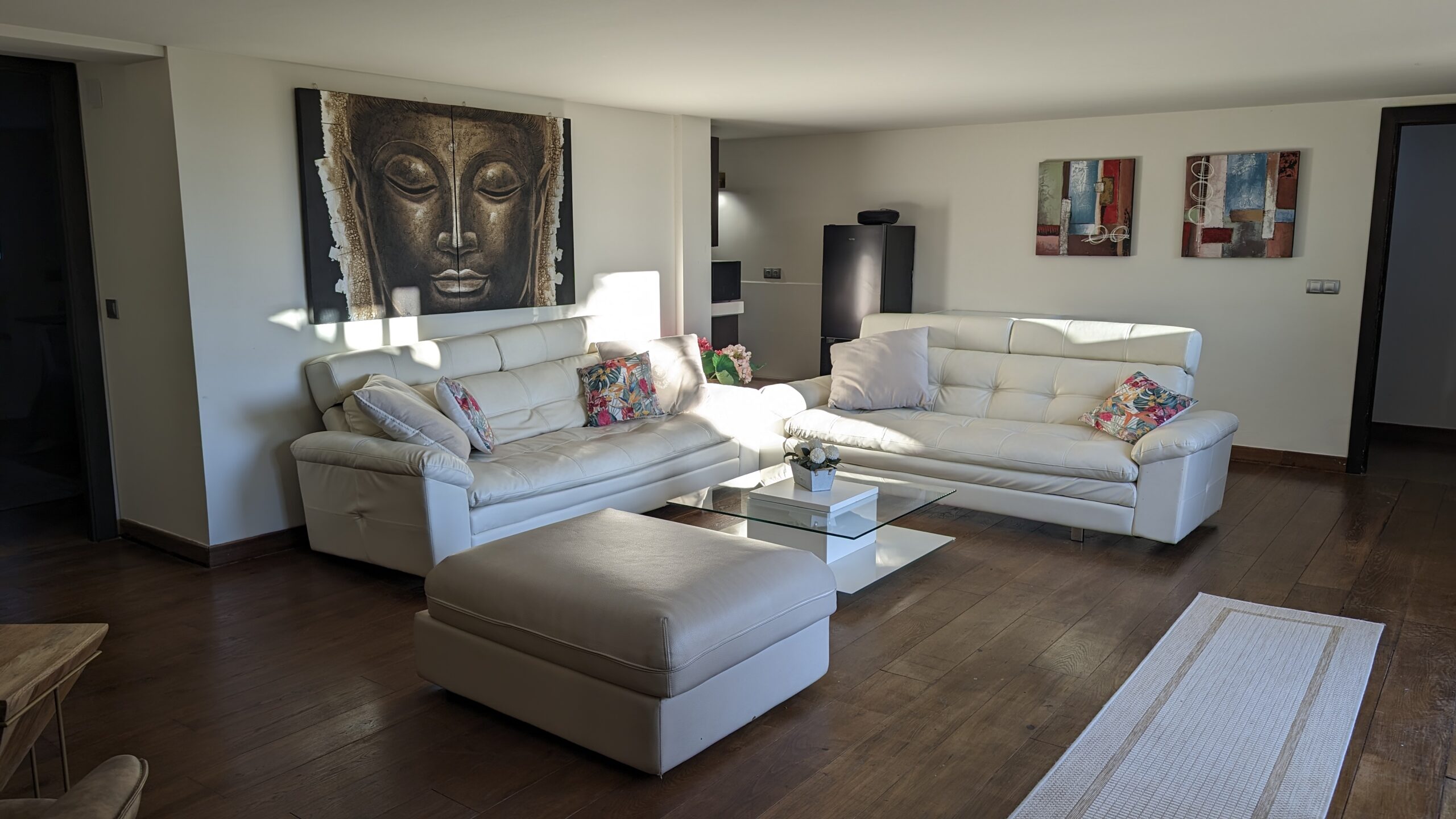 PXL_20240220_171002070